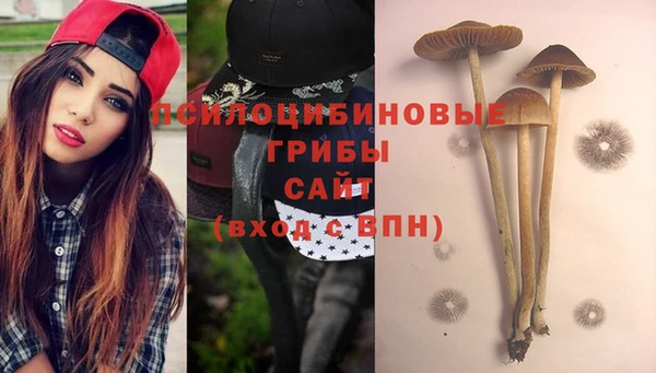круглые Снежинск