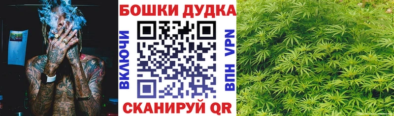 сколько стоит  Кола  omg ссылка  МАРИХУАНА OG Kush 